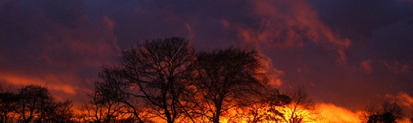 Fiery Sunset