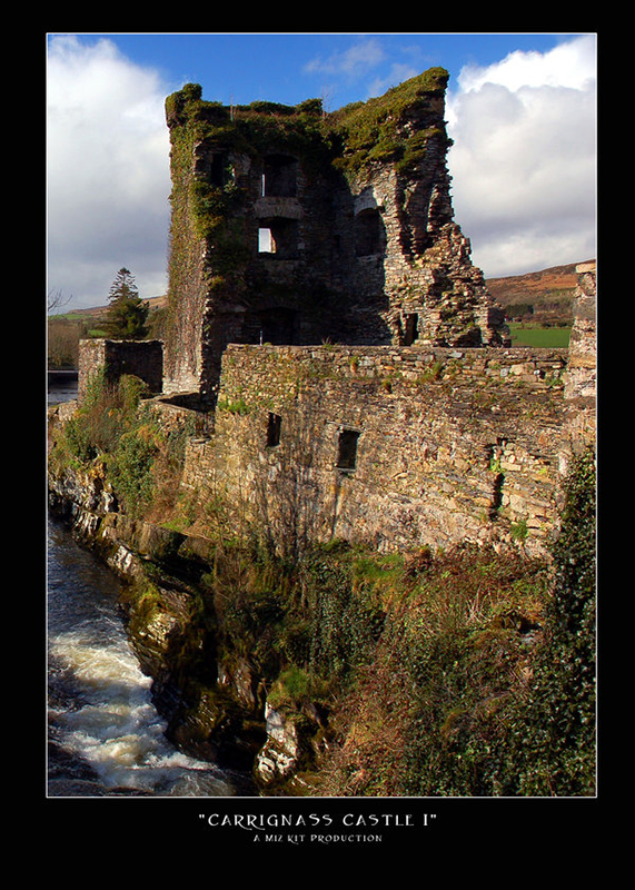 Carrignass Castle