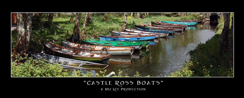 Castle Ross Boats