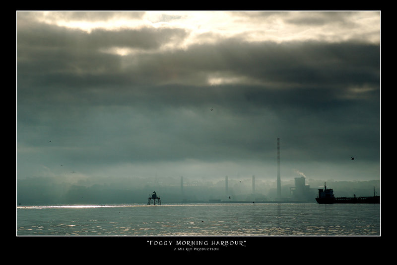 Foggy Morning Harbour