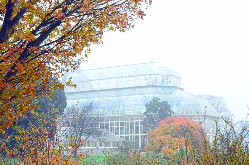Botanic Gardens Greenhouse