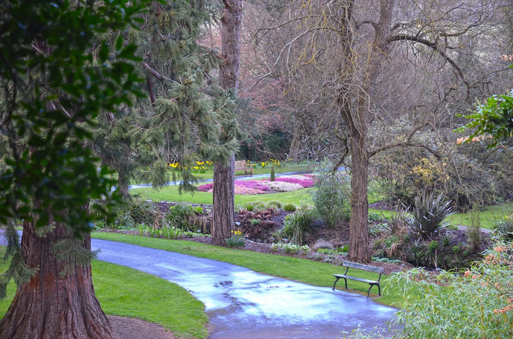 Botanic Gardens in the rain