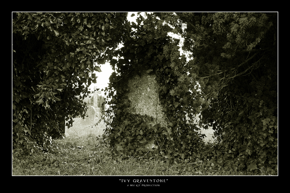 Ivy Gravestone