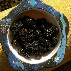blackberries02