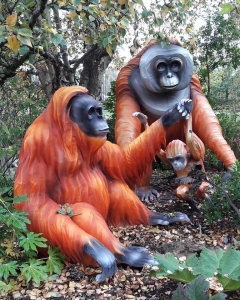 orangutang family