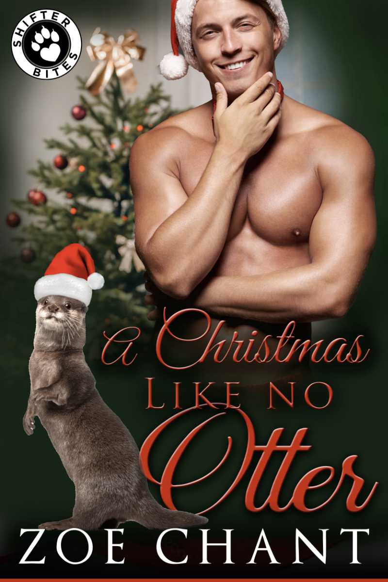 Release Day: A CHRISTMAS LIKE NO OTTER